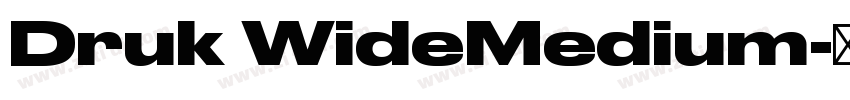 Druk WideMedium字体转换